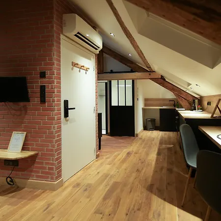 Evasion Chic, Spa Et Sauna Sous Les Toits Nancy Exterior photo