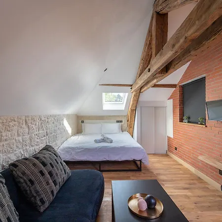 Evasion Chic, Spa Et Sauna Sous Les Toits Nancy Exterior photo